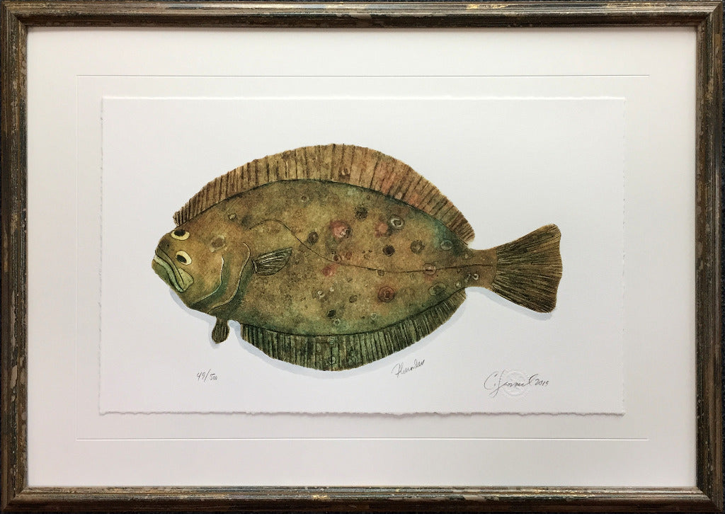 FLOUNDER