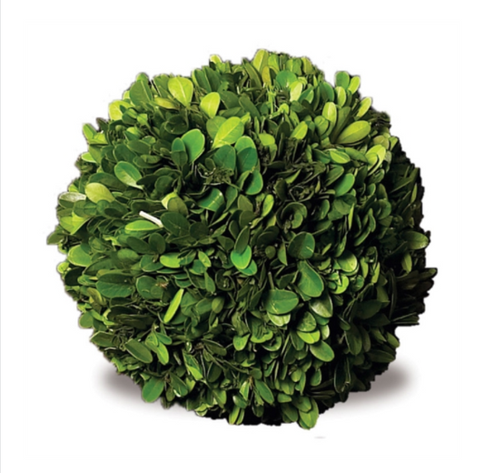 BOXWOOD BALL