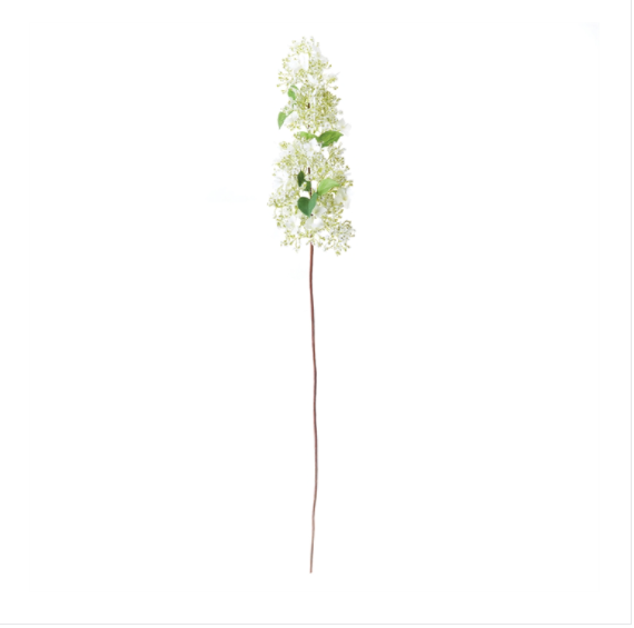 WEEPING CONE HYDRANGEA STEM 32"