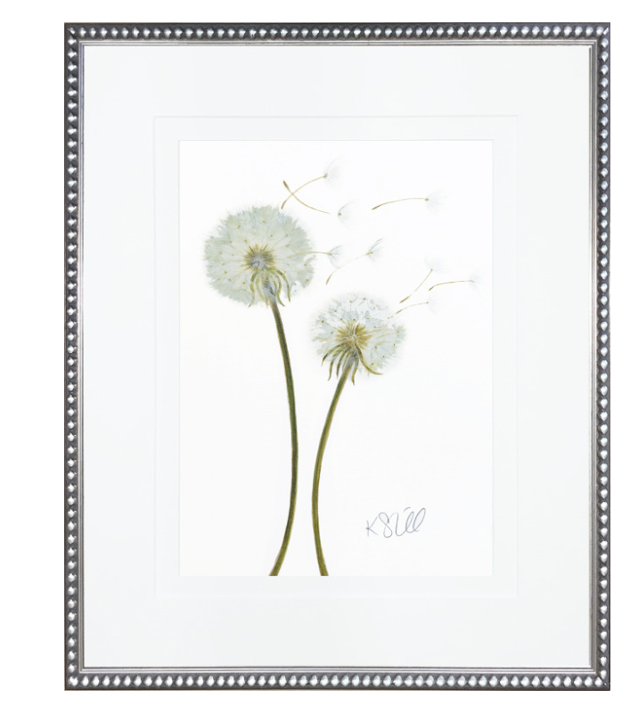 Dandelion 3