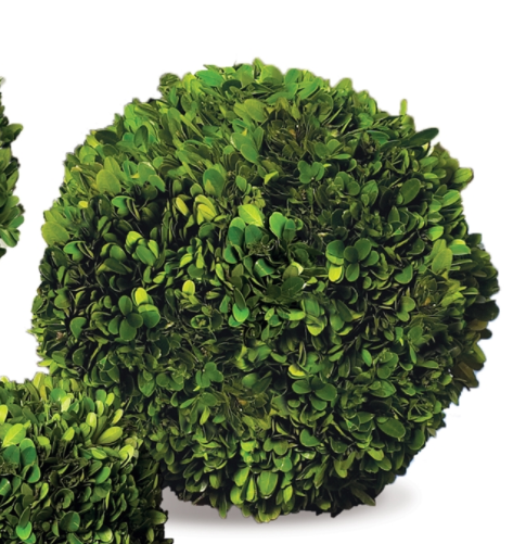 BOXWOOD BALL