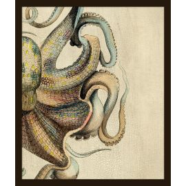 Vintage Octopus 1