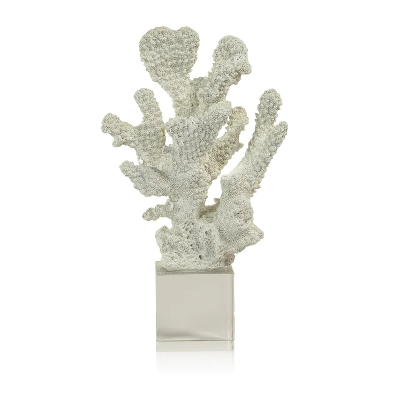 White Coral on Acrylic Base - A