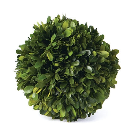 BOXWOOD BALL