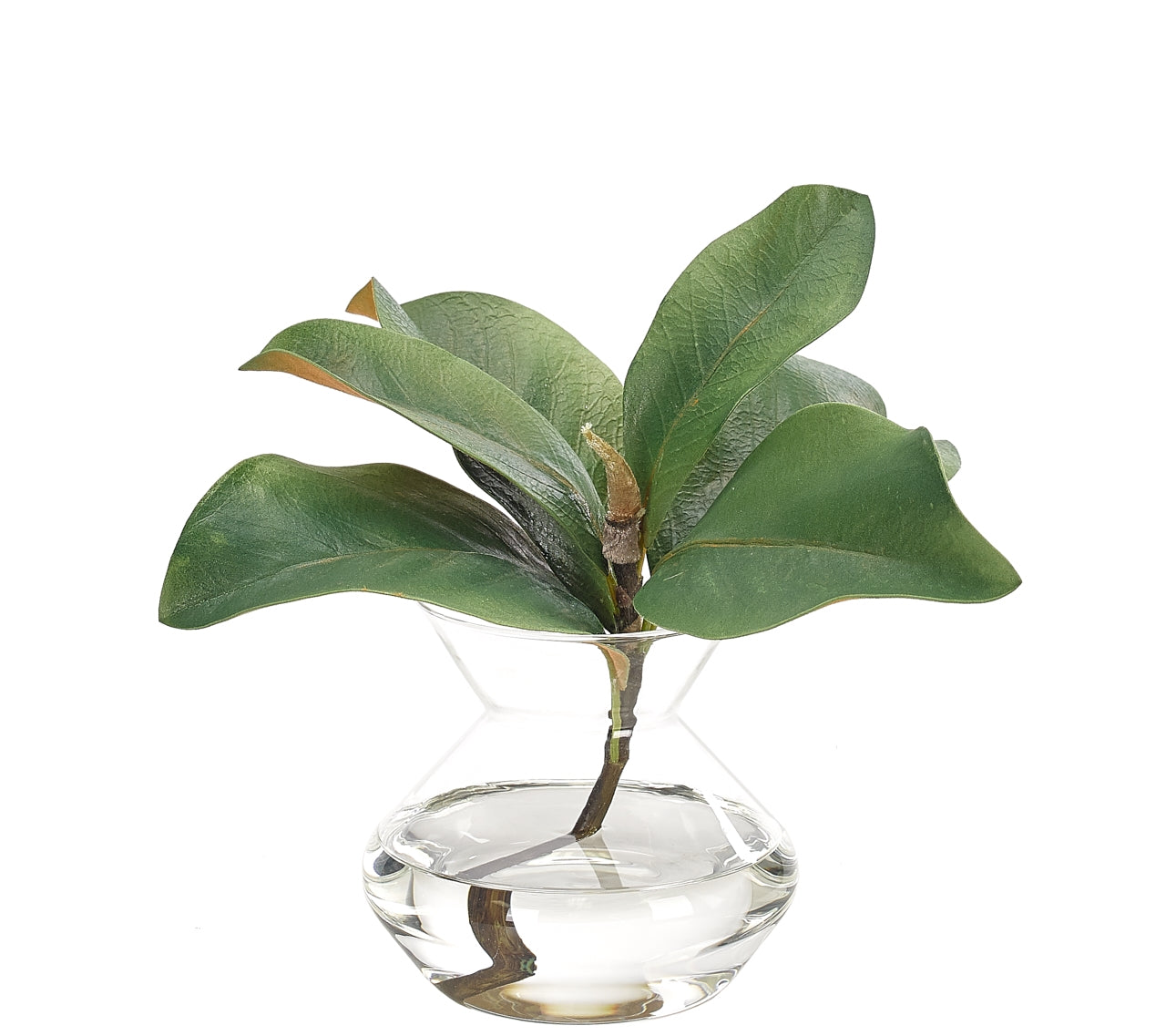 Magnolia Foliage Glass Vase