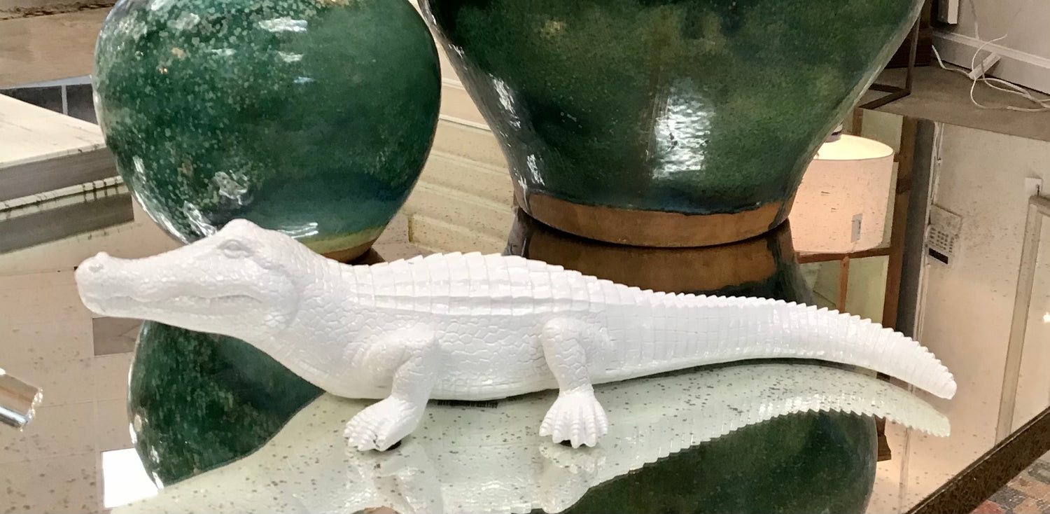 White Alligator