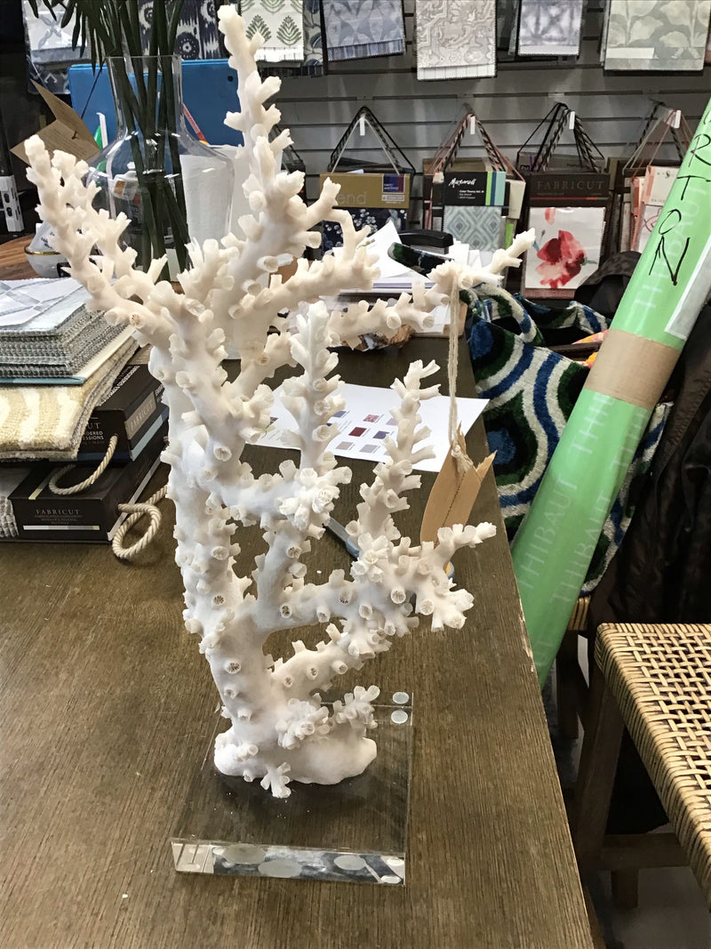 White coral on crystal base